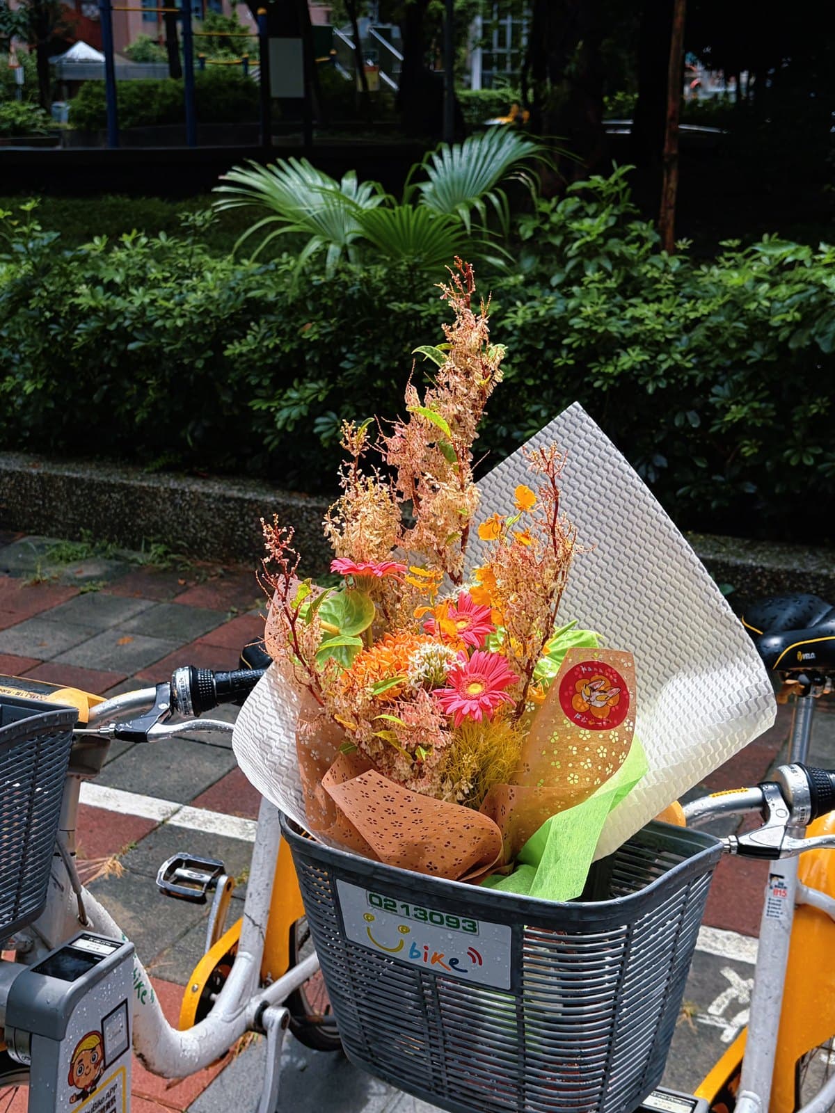 大膽虎頭蜂 · 2026 秋